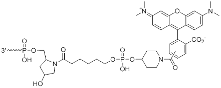 Unit Structure: 3'-TAMRA